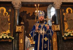 Митрополит Бориспольский Антоний