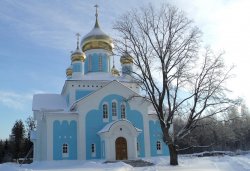 Паломничество в Свято-Благовещенскую Никандрову пустынь 16 января 2011 года