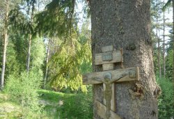Паломничество в Нило-Столобенскую пустынь, Оковецкий источник, погост Голенково, Селижарово 28-29 мая 2011 года