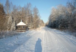 Паломничество в Свято-Благовещенскую Никандрову пустынь 28 ноября 2010 года