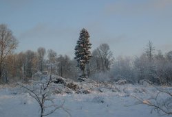 Паломничество в Свято-Введенский монастырь 4 декабря 2010 года