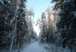 Паломничество в Свято-Благовещенскую Никандрову пустынь 28 ноября 2010 года