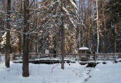 Паломничество в Оптину пустынь 3-4 января 2010 года