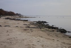 Паломничество в Доможирку в день памяти св. вмц. Параскевы 10 ноября 2011 года