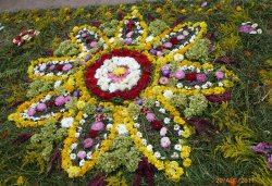 Паломничество в Свято-Успенский Псково-Печерский монастырь 29 августа 2011 года на всенощное бдение - Иерусалимский Чин Погребения Божией Матери