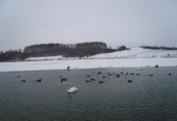 Паломничество в Печоры и Изборск 22 января 2012 года